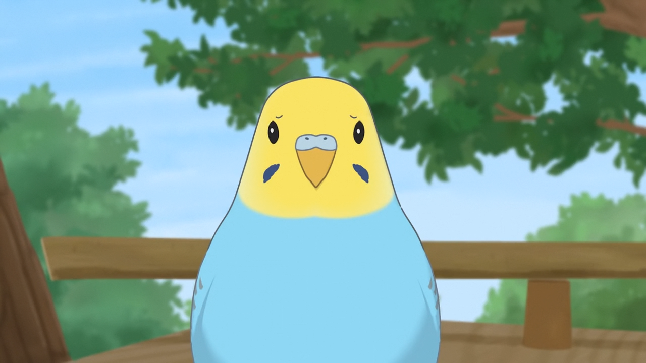 Inko Colors (RedLineSP)